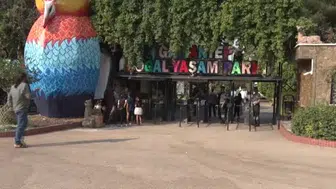 Gaziantep Doğal Yaşam Parkı'nda yırtıcı adası açılıyor