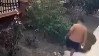 İzmir'de yavrulu kediye tekme atan saldırgan yakalandı