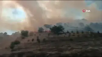 Bozüyük'te orman yangını kontrol altına alındı