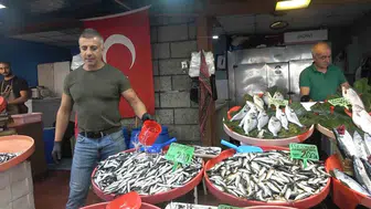 Yalova balık hali'nde sezonun başlangıcıyla fiyatlar geriledi