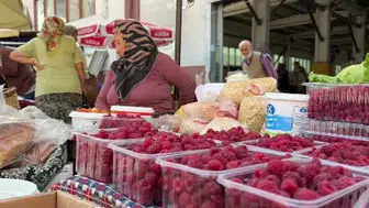 Bolu’daki köylüler doğal ürünlerini doğrudan pazarda satıyor