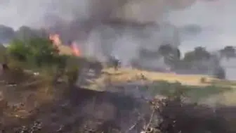 Çüngüş’te çıkan yangın, üzüm bağlarını tehdit etti