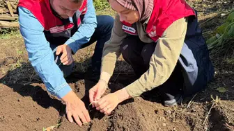 Yığılca'da salep orkidesi üretimiyle tarımsal çeşitlilik artıyor
