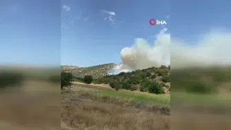 Sındırgı'da meydana gelen orman yangınına itfaiye ekipleri müdahale ediyor