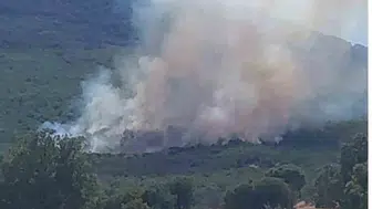 Eskişehir'de orman yangınına müdahale sürüyor