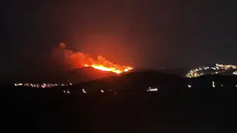 Bodrum'da makilik alanda yangın rüzgarla yayıldı