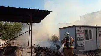 Kırıkhan'da yangın paniği: Ekiplerin hızlı müdahalesiyle kontrol altına alındı