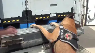 Çatalca'da düzenlenen operasyonla 11 kilogram kokain ele geçirildi