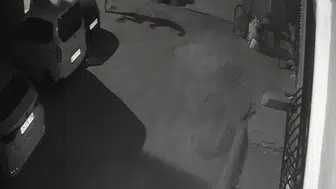 İzmir’de köpeğini tekmeleyen şahıs gözaltına alındı