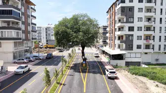 Yolun ortasında korunan asırlık mazı ağacı, esnafın yüzünü güldürüyor