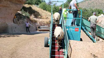 Talas'ta koyun banyosu hizmetine büyük talep var