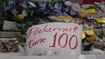 Palamut sezonu başladı: 600 gramlık balık 100 lira