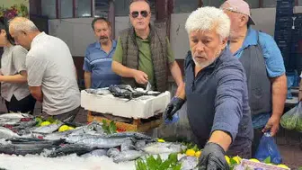 Bolu'da palamut bereketi balık pazarlarını canlandırdı