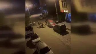 Iğdır'da arazi anlaşmazlığı sopalı kavgaya dönüştü