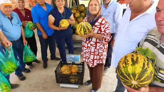 Kuraklıkla mücadele için örnek model: Altınova köyünde su kullanılmadan yetişen kavun