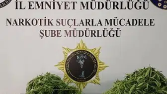 Samsun'da uyuşturucu operasyonu: 5 kişi gözaltına alındı