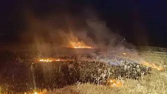 Van'da gece çıkan örtü üstü yangın kontrol altına alındı