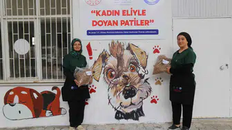 Sıfır atık ve yeşil dönüşüm: kadının gücüyle hayata geçen örnek proje