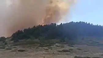 Ankara-Çankırı sınırındaki orman yangınına müdahale devam ediyor