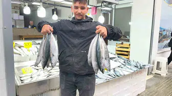 Sinop’ta palamut fiyatları 50 liraya düştü