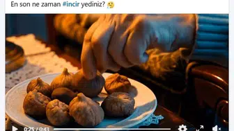 Özlem Çerçioğlu'ndan incir tanıtım hamlesi: Kısa film ekranlarda