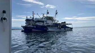 Didim'de su ürünleri denetimleri yapıldı: Dalgıçlar da görev aldı