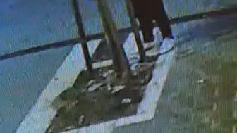 Fatih’te iş yerinin önünü kapattığı iddia edilen ağaç kesildi