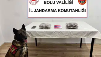 Bolu'da yolcu otobüsünde uyuşturucu yakalandı: 1 kişi tutuklandı
