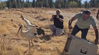 Eşinin başında 5 gün bekleyen leylek, tedavisinin ardından özgürlüğüne kavuştu