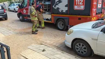 Yılanların yerleşim alanlarındaki tehlikesi aşıldı: Ekipler güvenle yakaladı