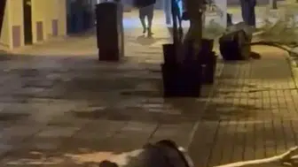 Eskişehir'de bir kişi yol kenarındaki saksıları devirdi