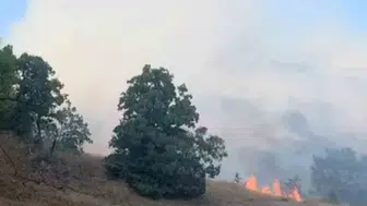 Bingöl'deki orman yangını ekiplerin müdahalesiyle söndürüldü