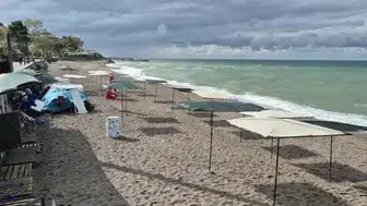 Akçakoca sahilleri tatilci yokluğunda kuşlarla doldu