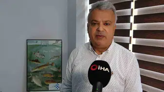 Çanakkale'de mavi denizanaları alarmı: Uzmanlardan önemli uyarılar