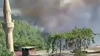 Adana'da orman yangını paniği: Ekipler alevlerle mücadele ediyor