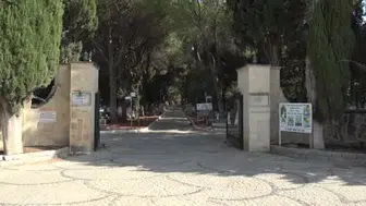 Çanakkale mezarlığında sincaplarla dostluk kuran görevli sevgiyle besliyor
