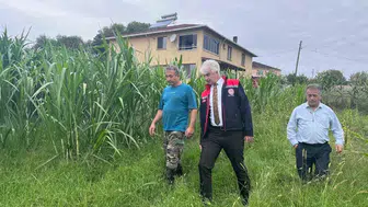 Sinop'ta maralfalfa üretiminde ilk başarılı hasat gerçekleştirilerek yeni bir dönem başladı