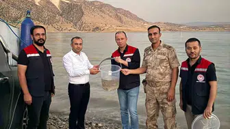 Ilısu Barajı'na 1 milyon şabut balığı bırakıldı: Sucul ekosistem için önemli adım