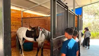 Bilecik'te çocuklara atlı spor etkinliği düzenlendi