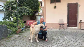 Kamyonetle başlayan yolculuk, dostluğa dönüşün hikayesi