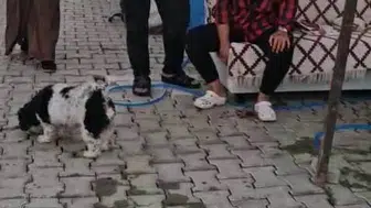 Konteyner kentte ailesine dehşeti yaşatan adam tutuklandı