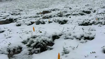 Eylül ayında kaçarların yüksek kesimlerinde ilk kar ışıltısı
