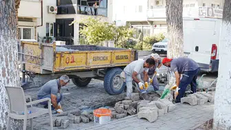 Germencik'te bu yıl 22'ncisi gerçekleştirilecek incir festivali için hazırlıklar hız kazandı