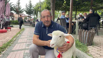 Kavaklıların kalbini fetheden Tertip: Sevimliliğiyle ilçe simgesi oldu