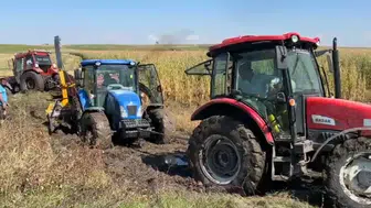 Kars'ta mısır hasadı çamura saplanan traktörün kurtarılmasıyla devam etti