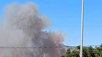 Muğla'nın Milas ilçesinde ot ve sazlık yangını kontrollü hale getirildi