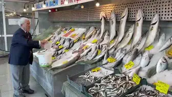 Av yasağının sona ermesiyle balık tezgahları çeşitleniyor