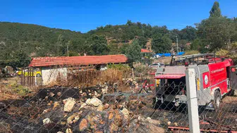 Bilecik'te ormana sıçrayan yangın kontrol altına alındı