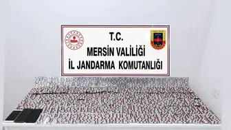 Mersin'de uyuşturucu operasyonunda 2 kişi tutuklandı