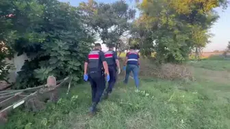 Bafra'da jandarma operasyonuyla 63 kilogram esrar ele geçirildi